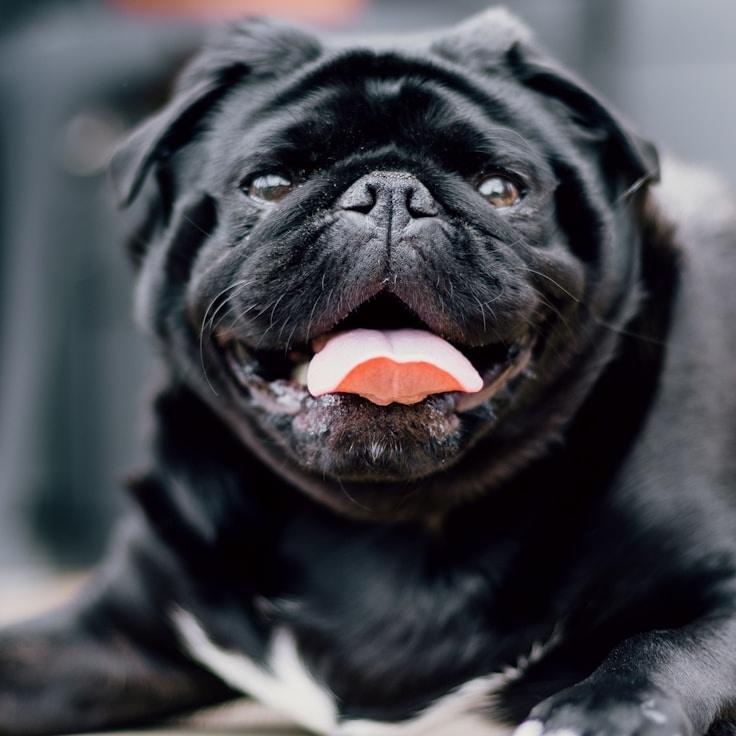 Eva Fischer - Founder of PlainVelvetNest