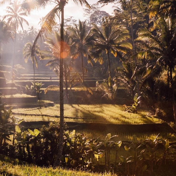 Family terraces and cafés for calm evenings in Dusseldorf